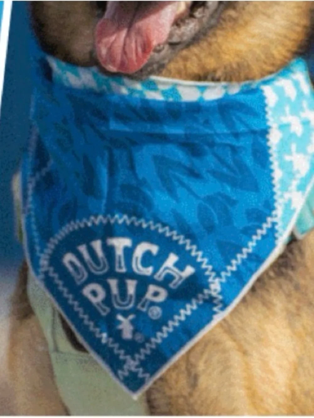 Dutch Bros Blue Dog Bandana